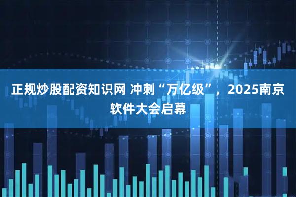 正规炒股配资知识网 冲刺“万亿级”，2025南京软件大会启幕