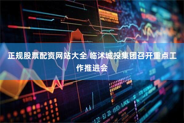 正规股票配资网站大全 临沭城投集团召开重点工作推进会
